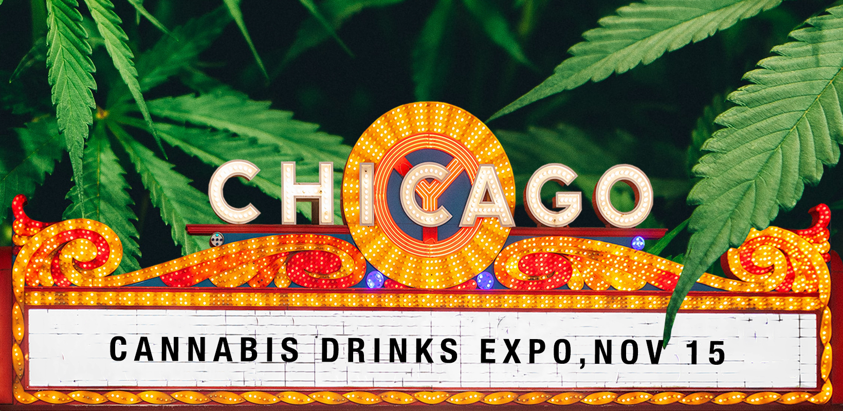 Photo for: Why Attend the Chicago Cannabis Drinks Expo 2021?