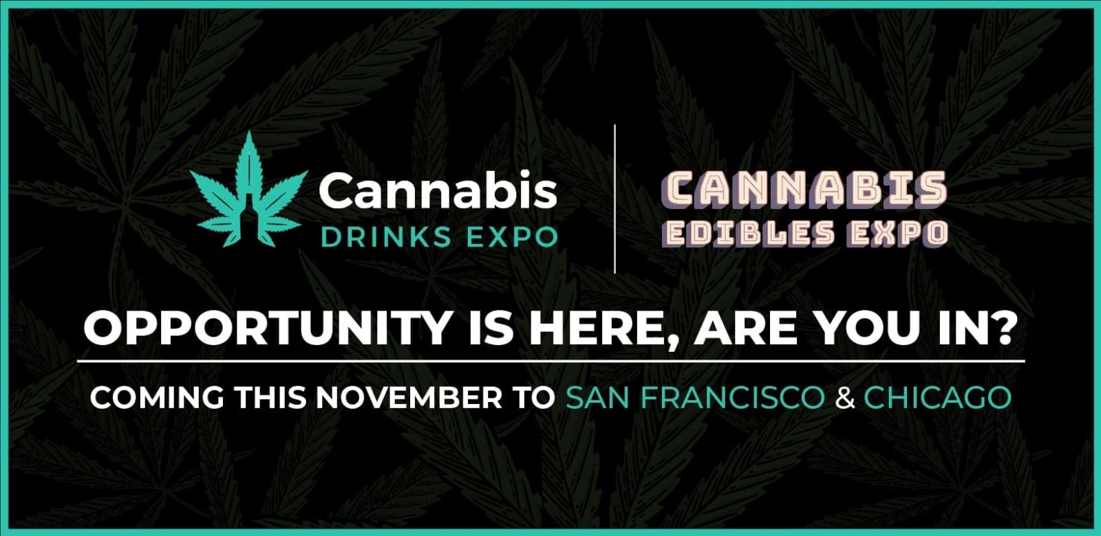 Photo for: This November, let's explore the fast-paced Cannabis Drinks & Edibles markets
