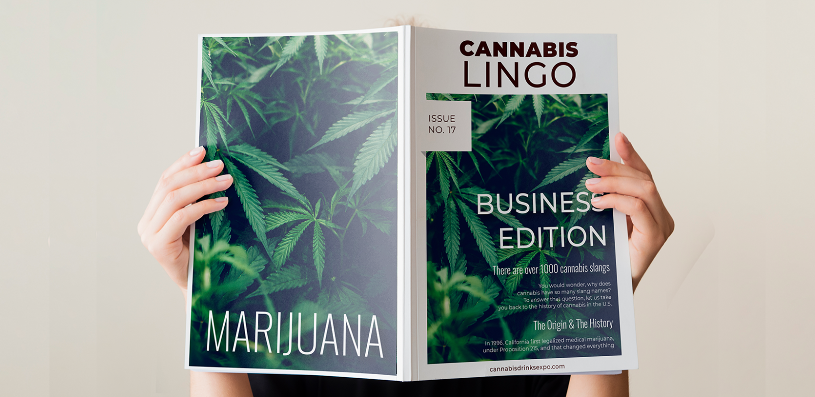 Photo for: Cannabis Lingo You Need To Know: Business Edition