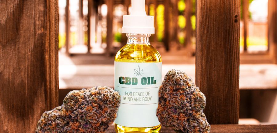 Photo for: Leading Cannabis Oil Producers in the US
