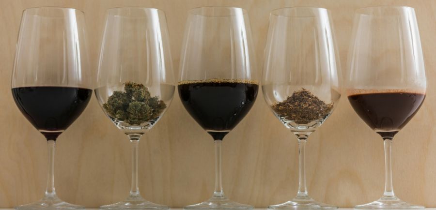 Photo for: The Business of Cannabis in the Drinks Industry
