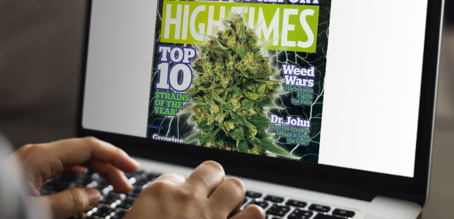 Photo for: 30 Leading Cannabis Magazines & Blogs You Must Read