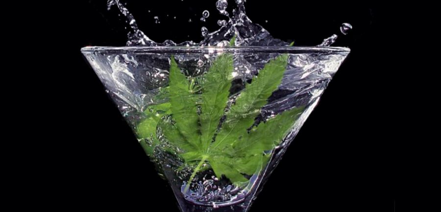 Photo for: Find Out How To Make Your Own Cannabis-Infused Cocktails