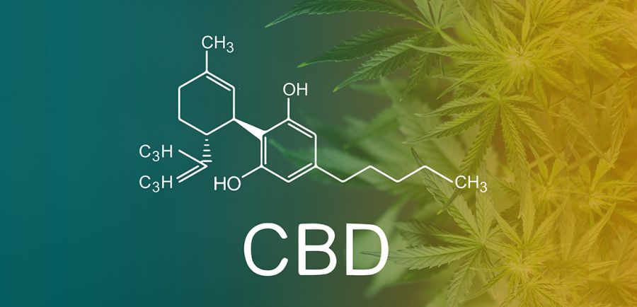 Photo for: CBD Is Moving The Cannabis Industry Forward