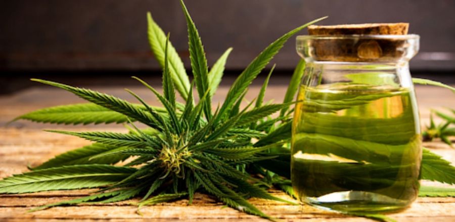 Photo for: Cannabis 101: A Guide to Cannabinoids