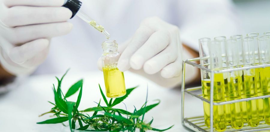 Photo for: Role of Emulsion Technology in the Cannabis Industry