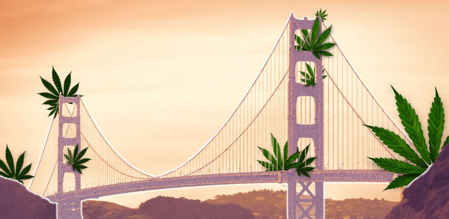 Photo for: High-Velocity Impact at the Cannabis Drinks Expo -  San Francisco, CA 